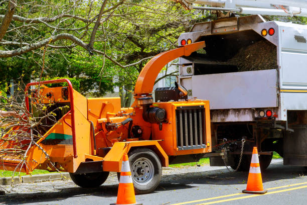 Leaf Removal in Wells, MN